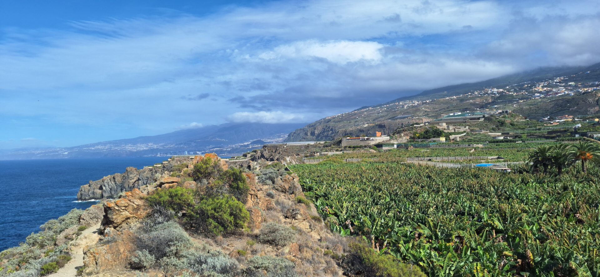 Mirador del Ballenate