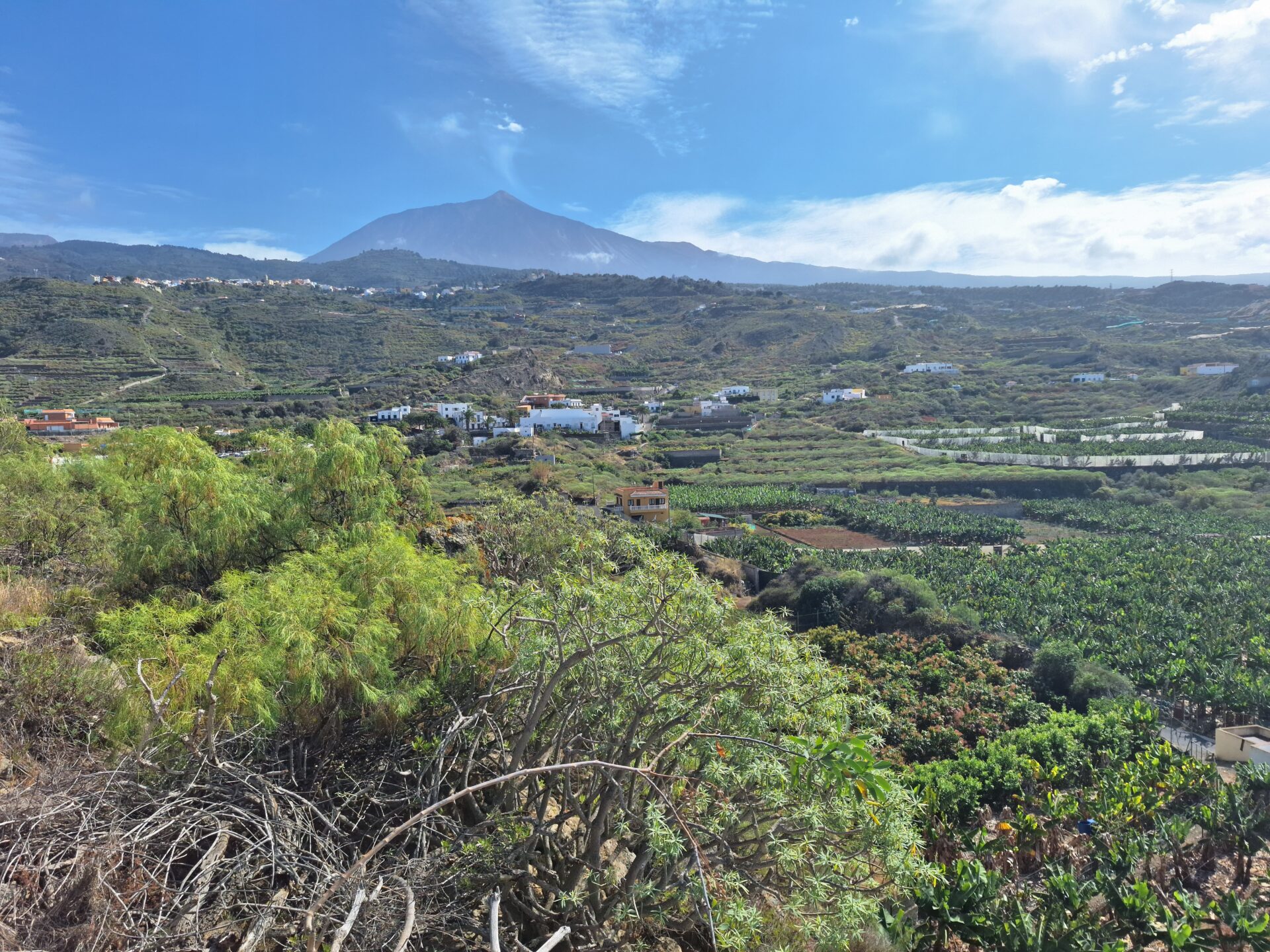 La costa de La Guancha