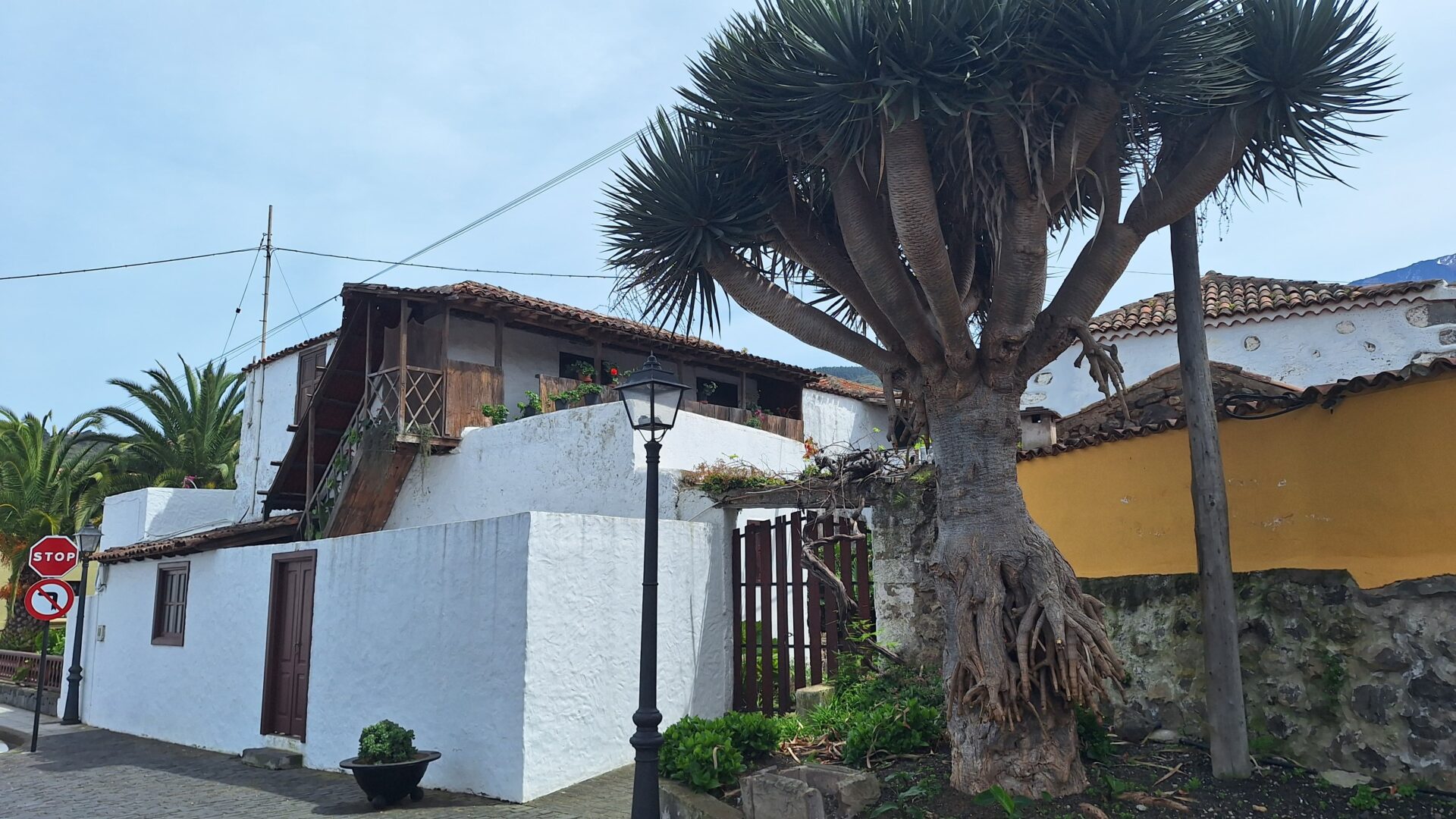 La casa de doña Rosa