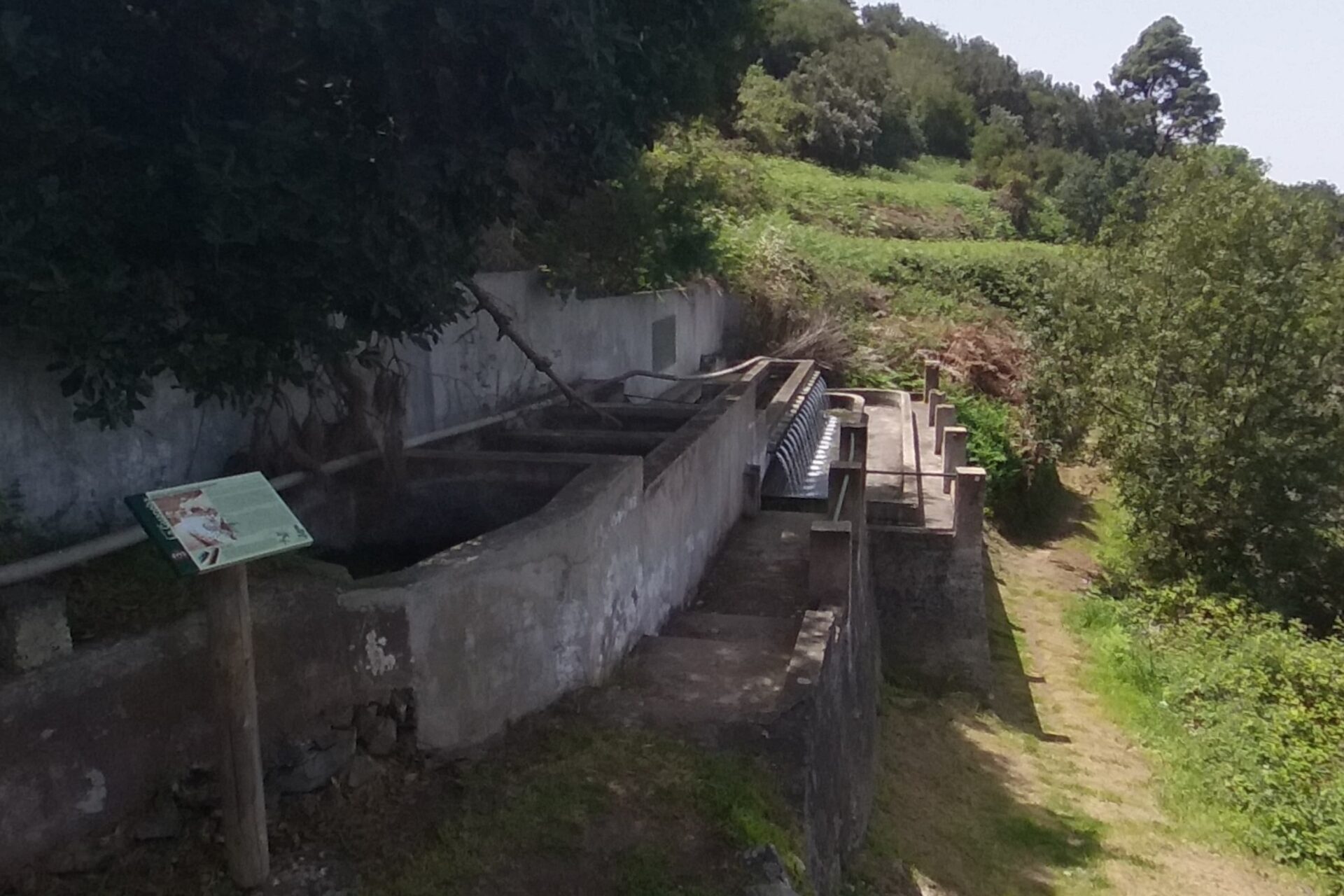 Galería de Los Palomos