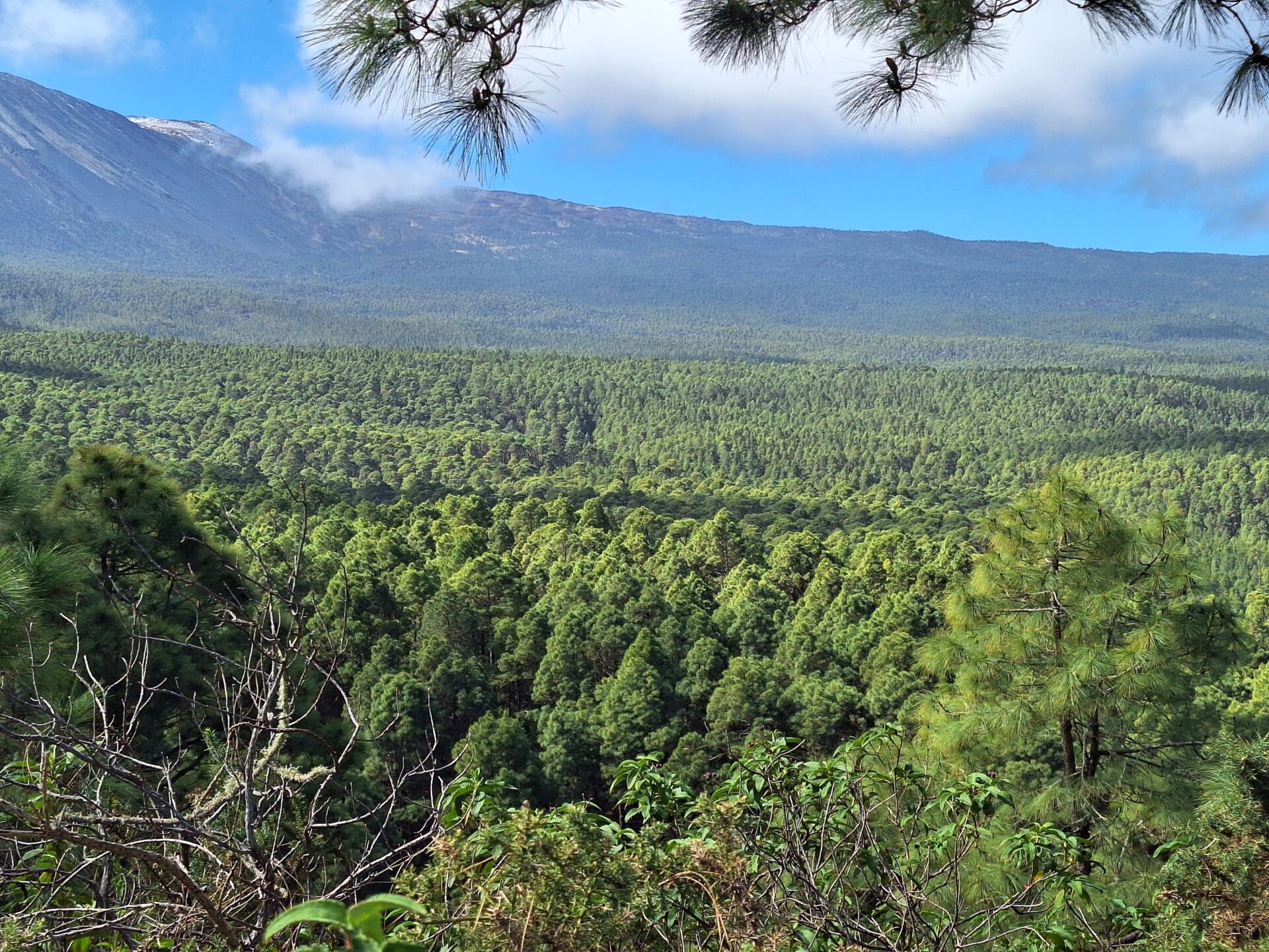 Mirador de El Topete